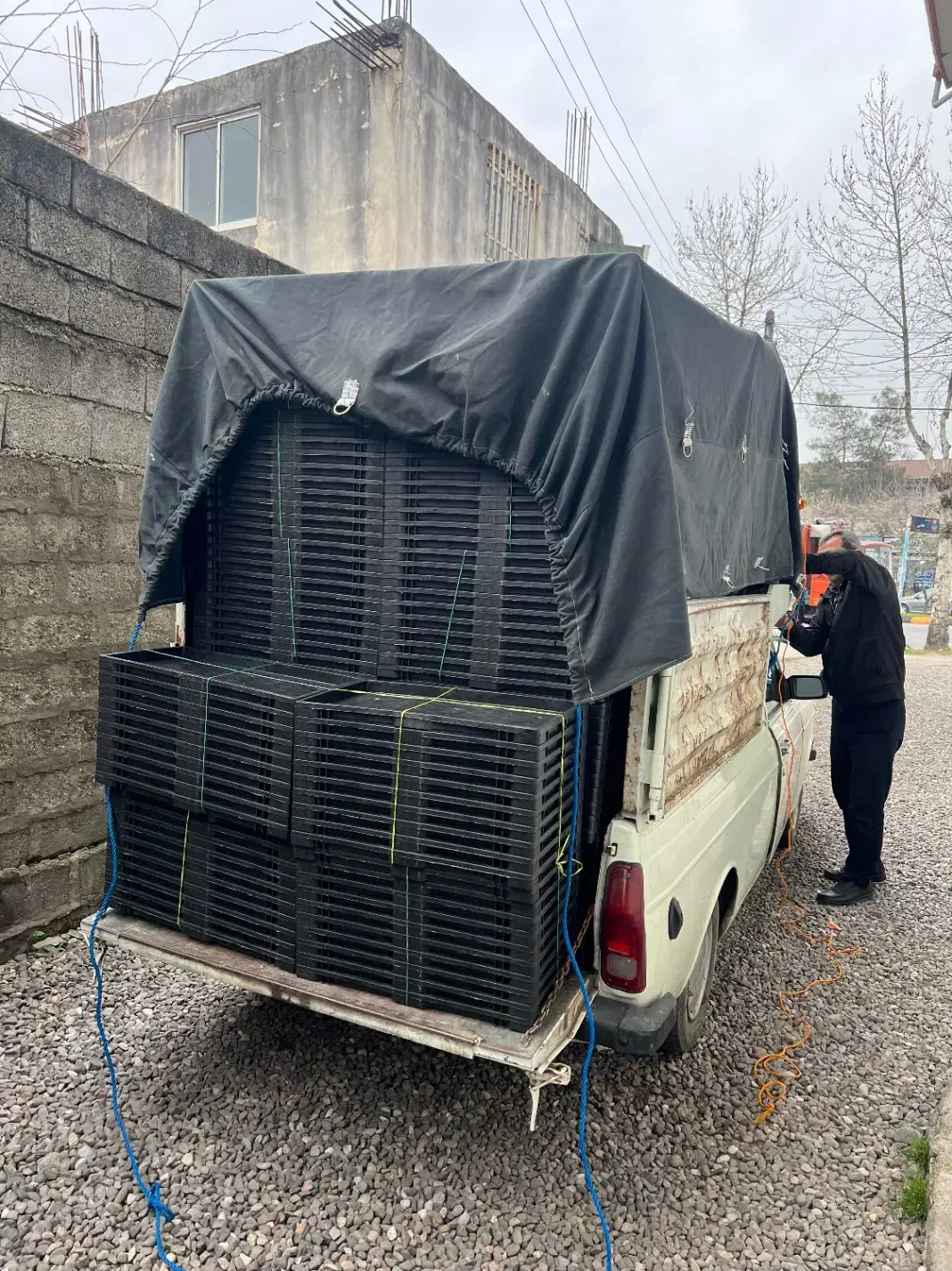 تولیدی سینی نشا آستانه اشرفیه|عمده‌فروشی|آستانه اشرفیه, |دیوار