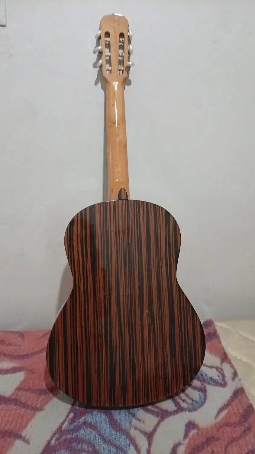 گیتار|گیتار، بیس، امپلیفایر|اقلید, |دیوار