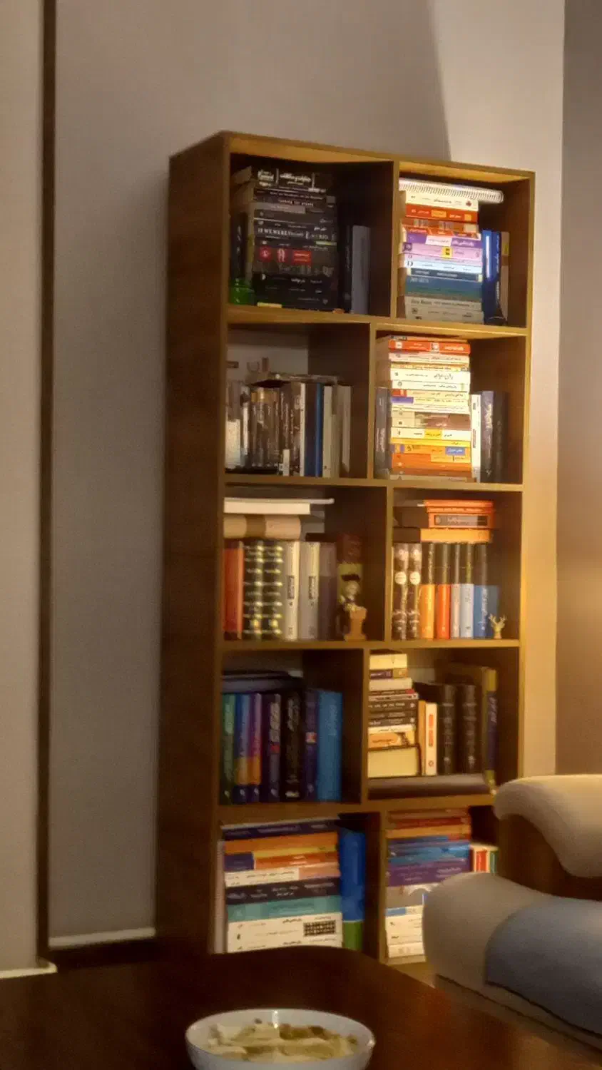 کتابخانه چوبی|کتابخانه، شلف، قفسه‌های دیواری|کرج, مهرویلا جنوبی|دیوار