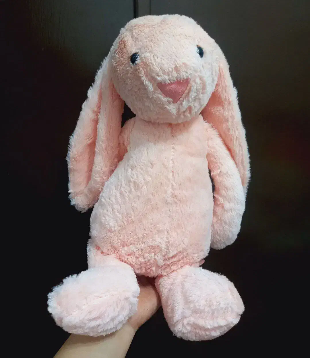 عروسک خرگوش و خرس|اسباب‌بازی بچه|بندر انزلی, نامجو|دیوار