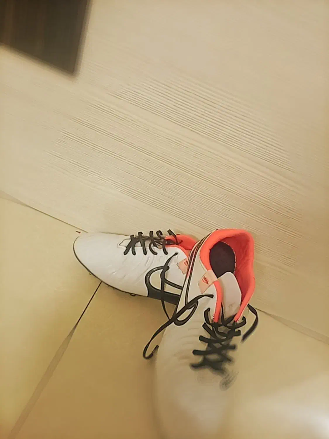 کفش چمن|تجهیزات ورزشی|مشهد, سمزقند|دیوار