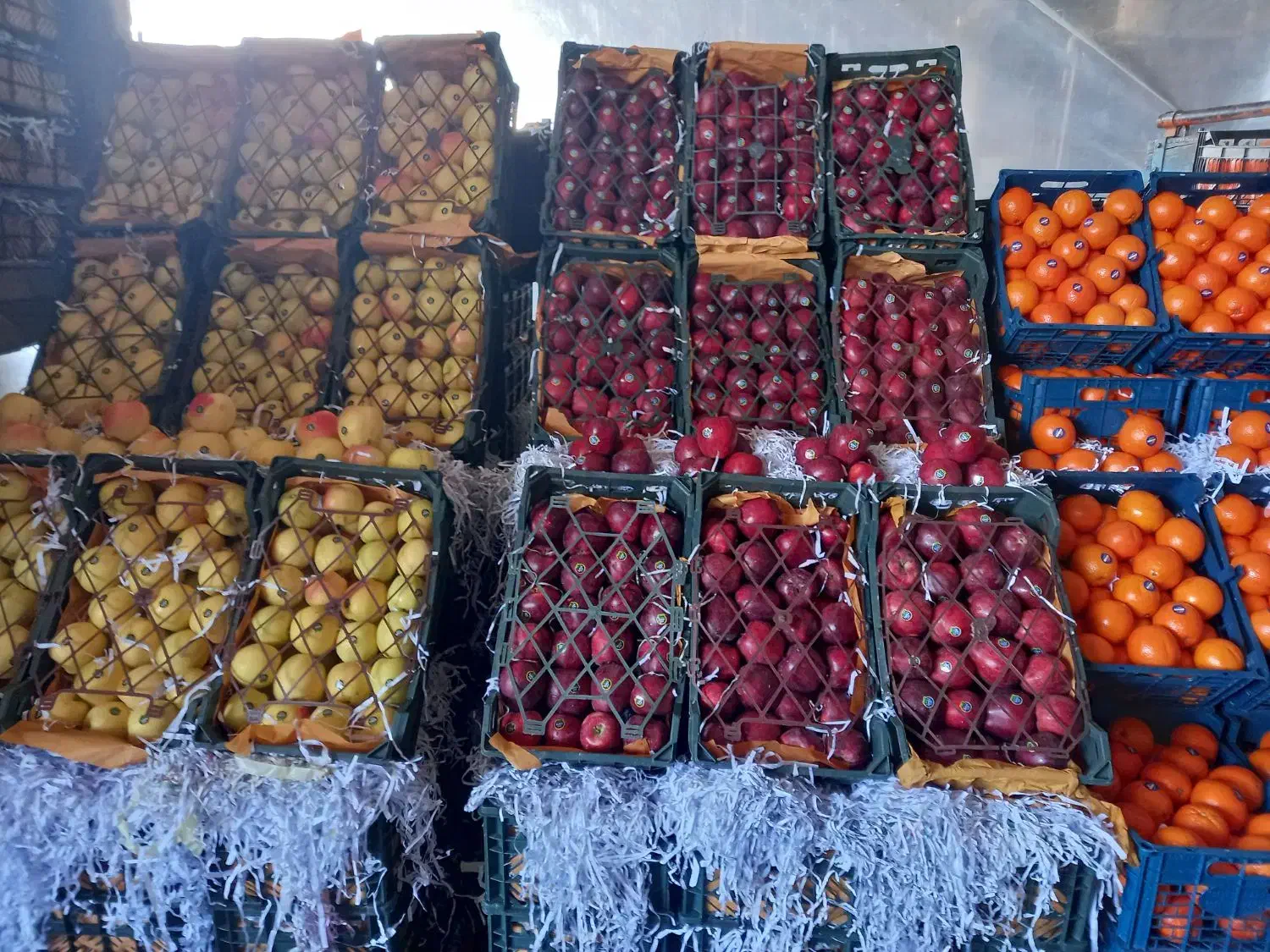 کارگر خانوم و اقا میوه فروشی|استخدام خدمات فروشگاه و رستوران|مشهد, جانباز|دیوار