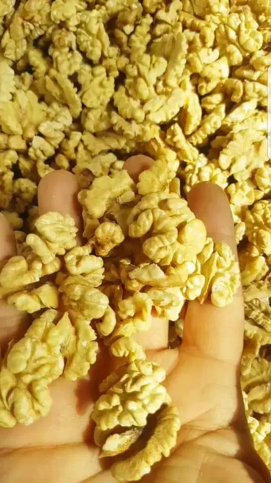 معز گردو|خوردنی و آشامیدنی|تهران, میرداماد|دیوار