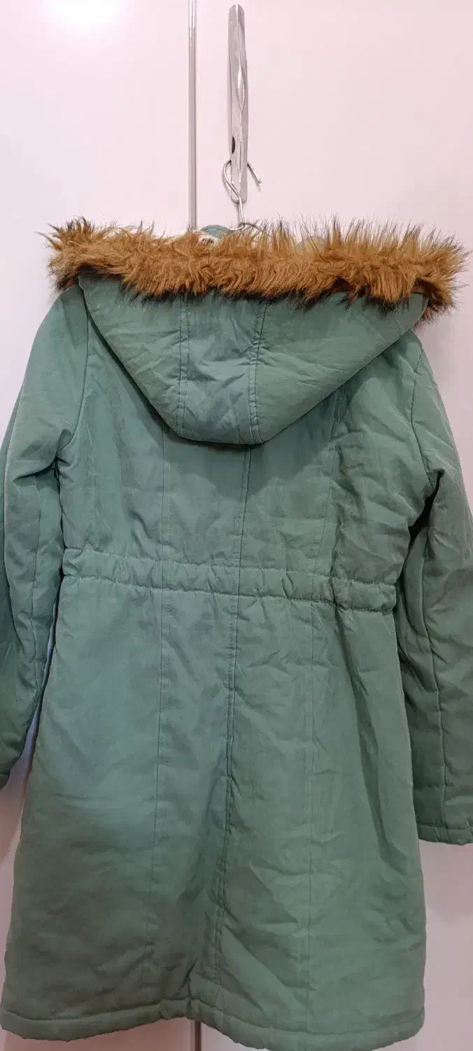 پالتو|لباس|مرند, |دیوار