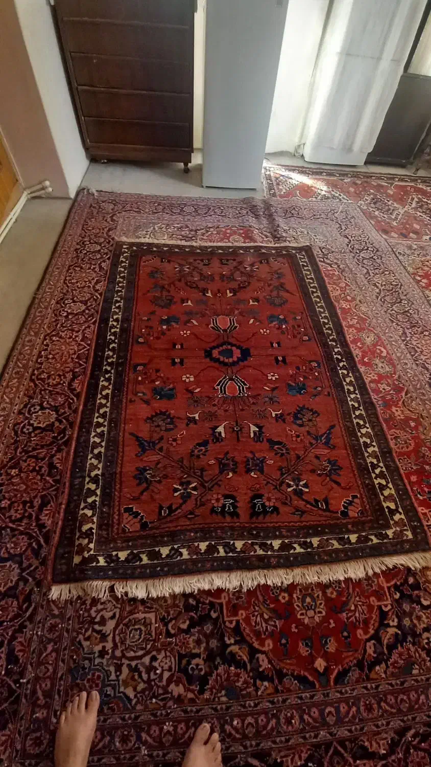 فرش دستباف قدیمی|فرش|کرج, حصار|دیوار