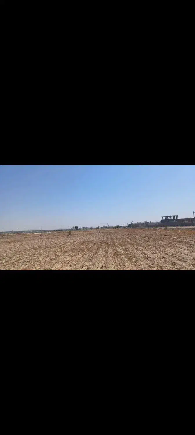 اجاره یک هکتار زمین کشاورزی واقع در شهرک انقلاب|اجارهٔ دفتر صنعتی، کشاورزی، تجاری|جیرفت, |دیوار