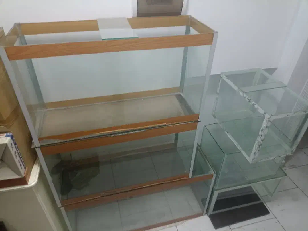 آکواریم|ماهی|تهران, پرواز|دیوار