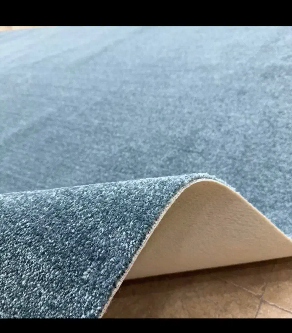 پالاز موکت سیزان اطلسی مدرن ۳۱۰۸۰|موکت|قم, شاه ابراهیم|دیوار