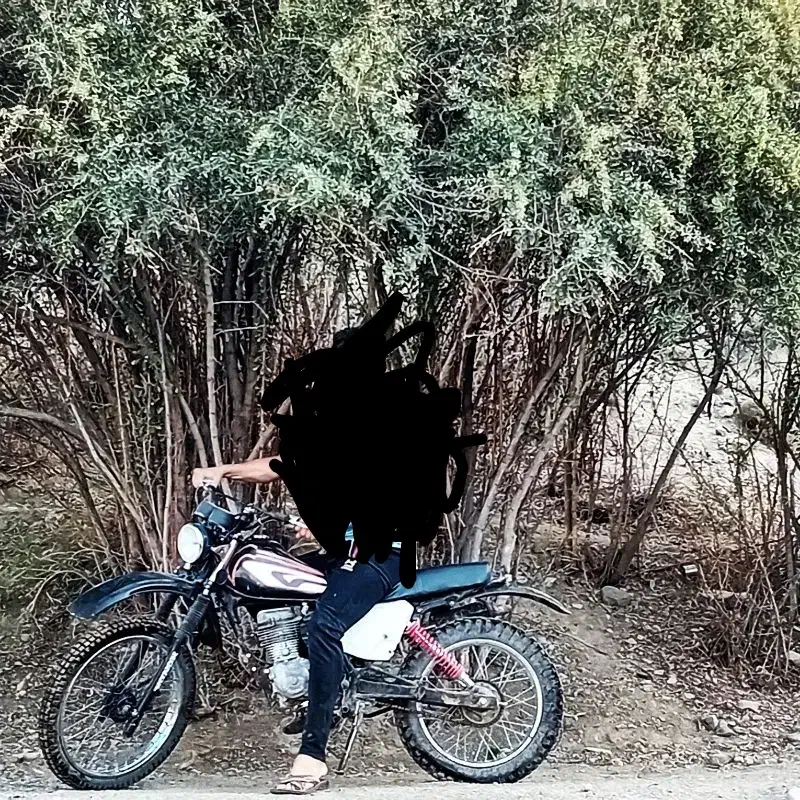 موتور سیکلت|موتورسیکلت|جغتای, |دیوار