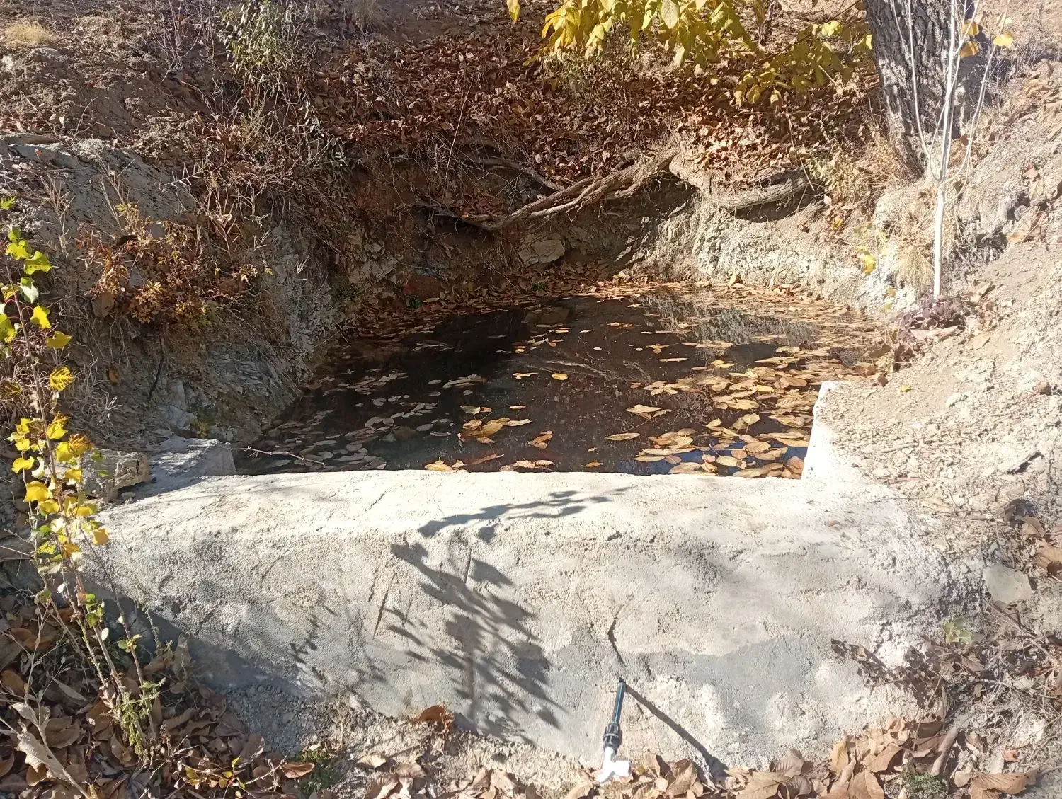 زمین کشاورزی|فروش زمین و ملک کلنگی|کامیاران, |دیوار