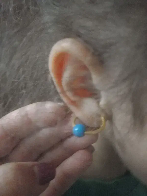 طلای گم شده|اشیا|کرمانشاه, |دیوار