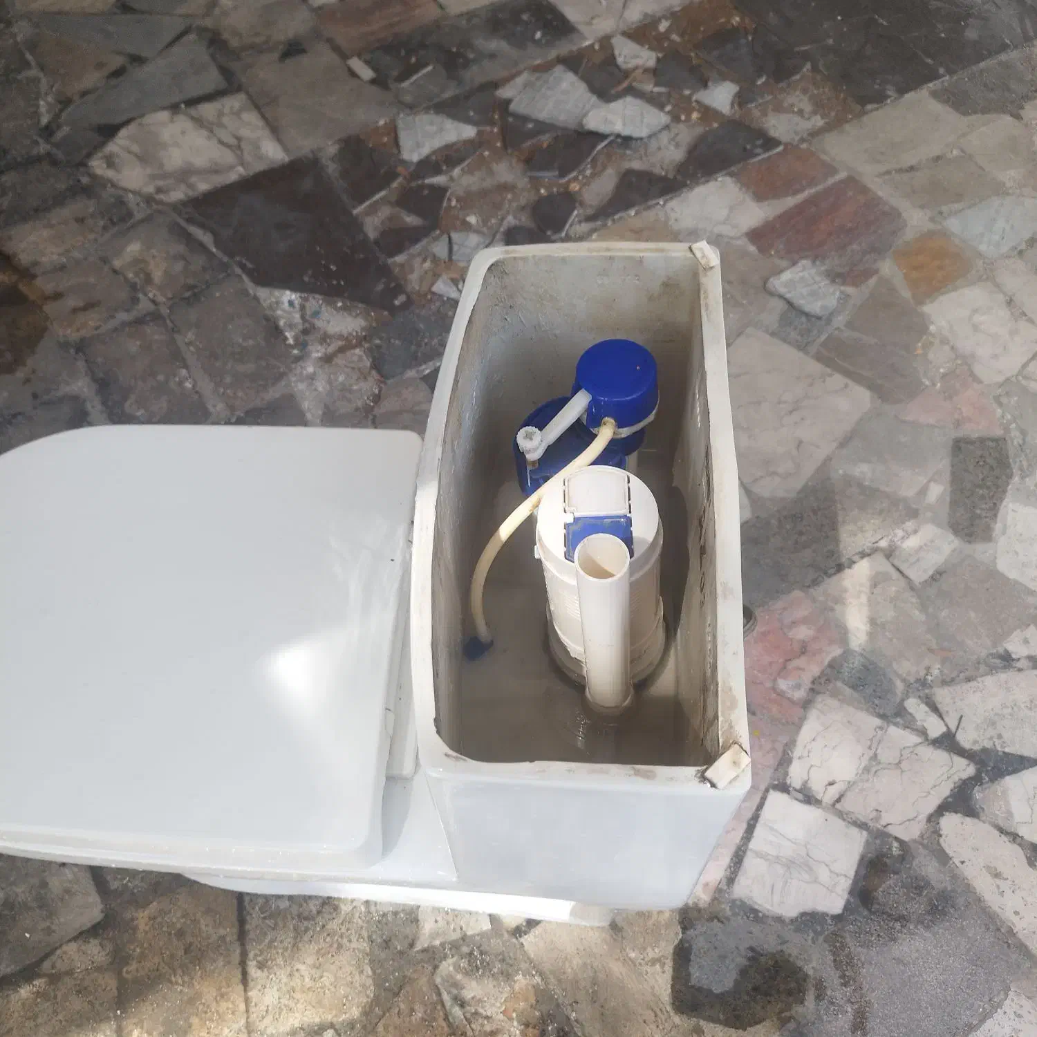 توالت فرنگی|لوازم سرویس بهداشتی|کیش, |دیوار