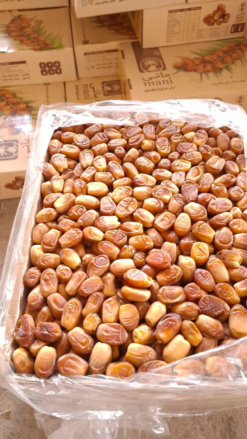 خرما زاهدی صادراتی|خوردنی و آشامیدنی|رشت, شهرک شهید رجایی|دیوار