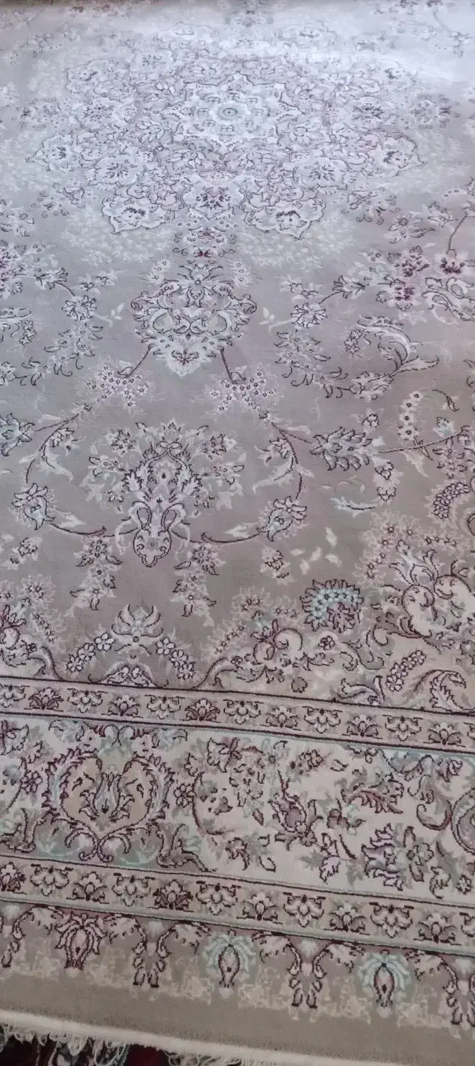 فرش ماشینی ۱۲ متری|فرش|همدان, |دیوار