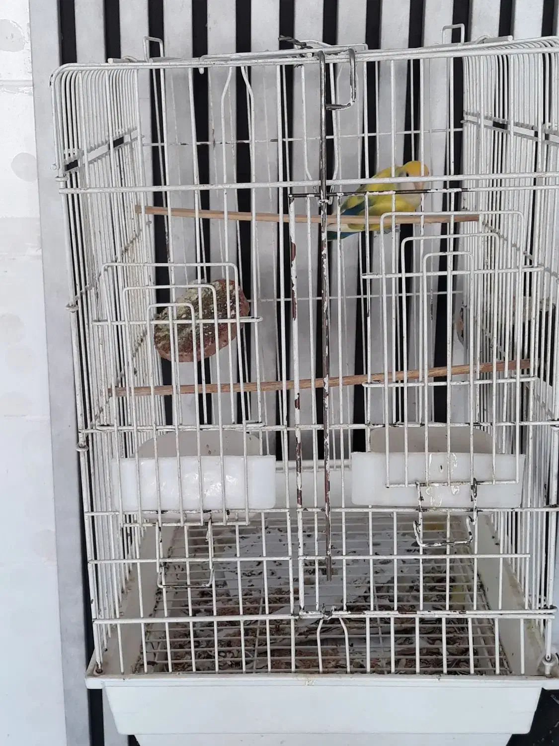 قفس|لوازم جانبی حیوانات|شیراز, کیان شهر|دیوار
