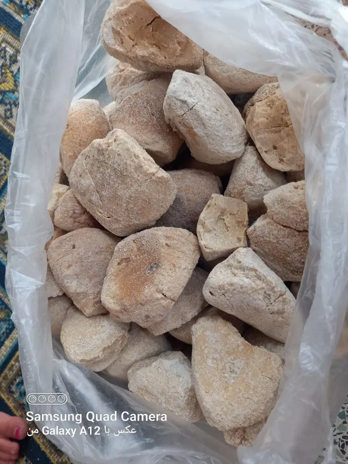 کشک گوسفندی|خوردنی و آشامیدنی|دالخانی, |دیوار