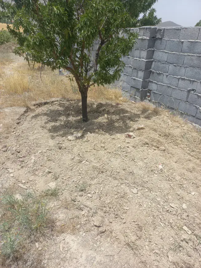 زمین باغ ویلا شهرستانک|فروش دفتر صنعتی، کشاورزی، تجاری|اراک, |دیوار