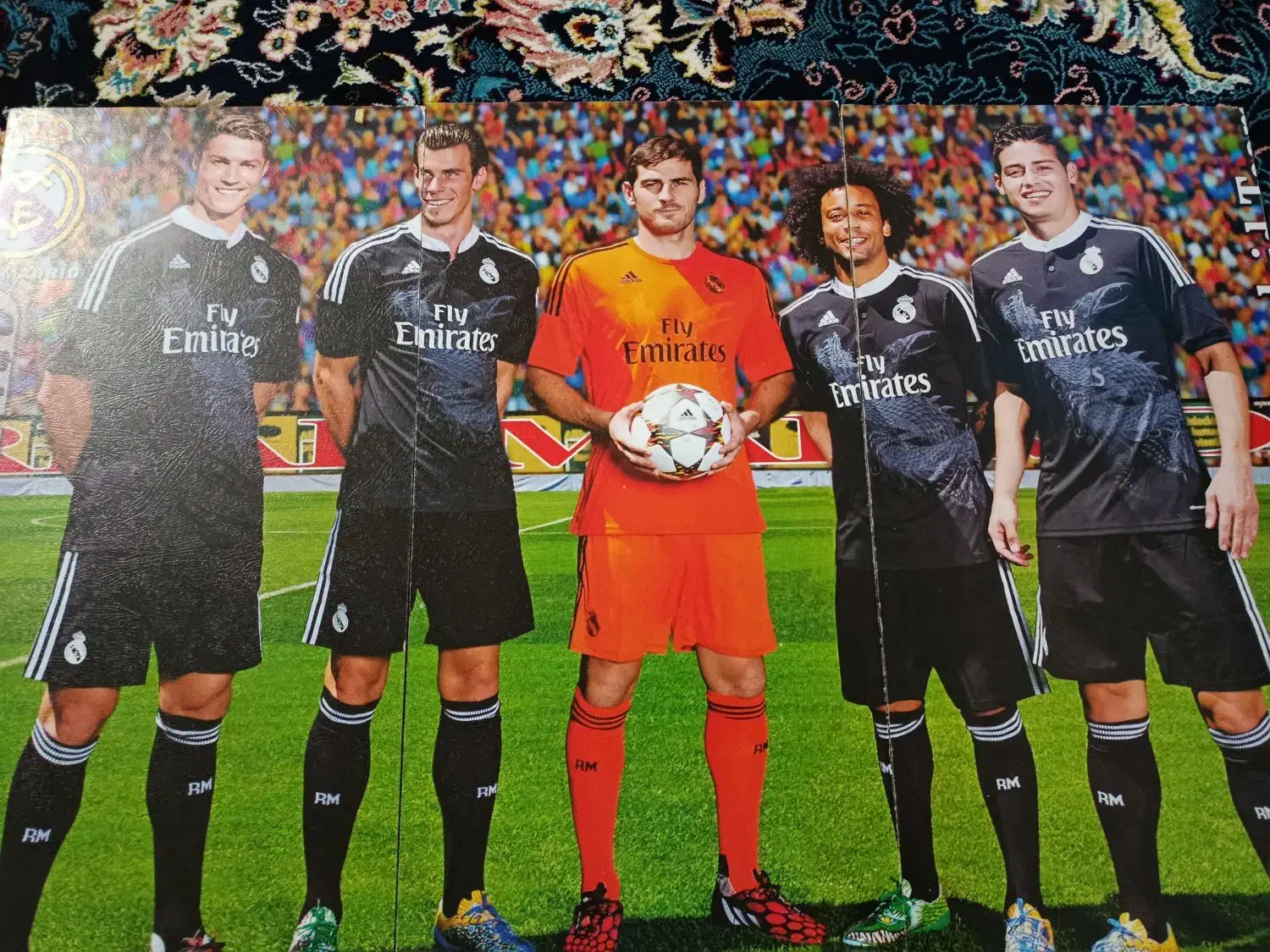 عکس شاسی ورزشی|تابلو، نقاشی، عکس|قم, دروازه چوبی|دیوار