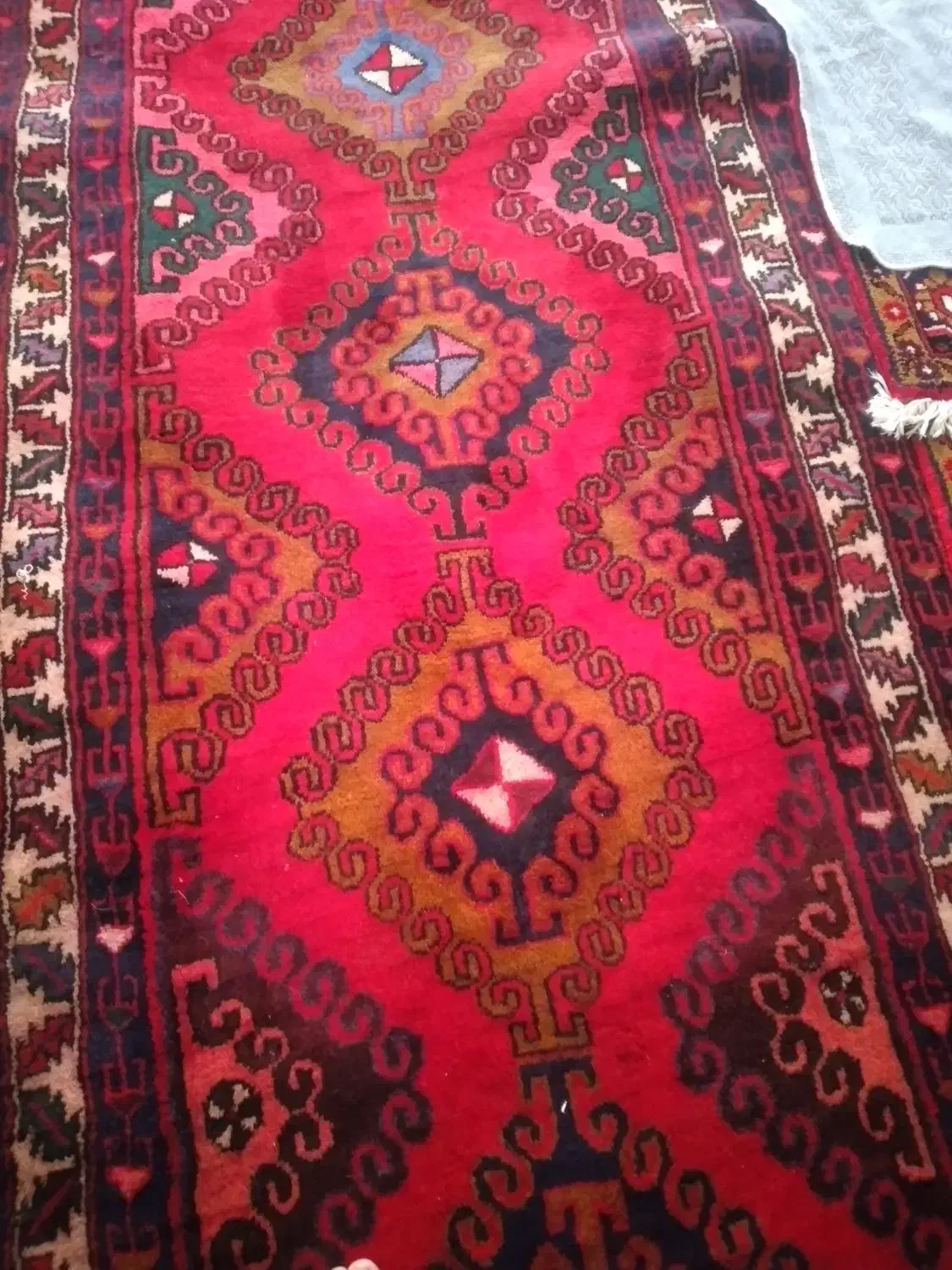 فرش|فرش|مراغه, |دیوار