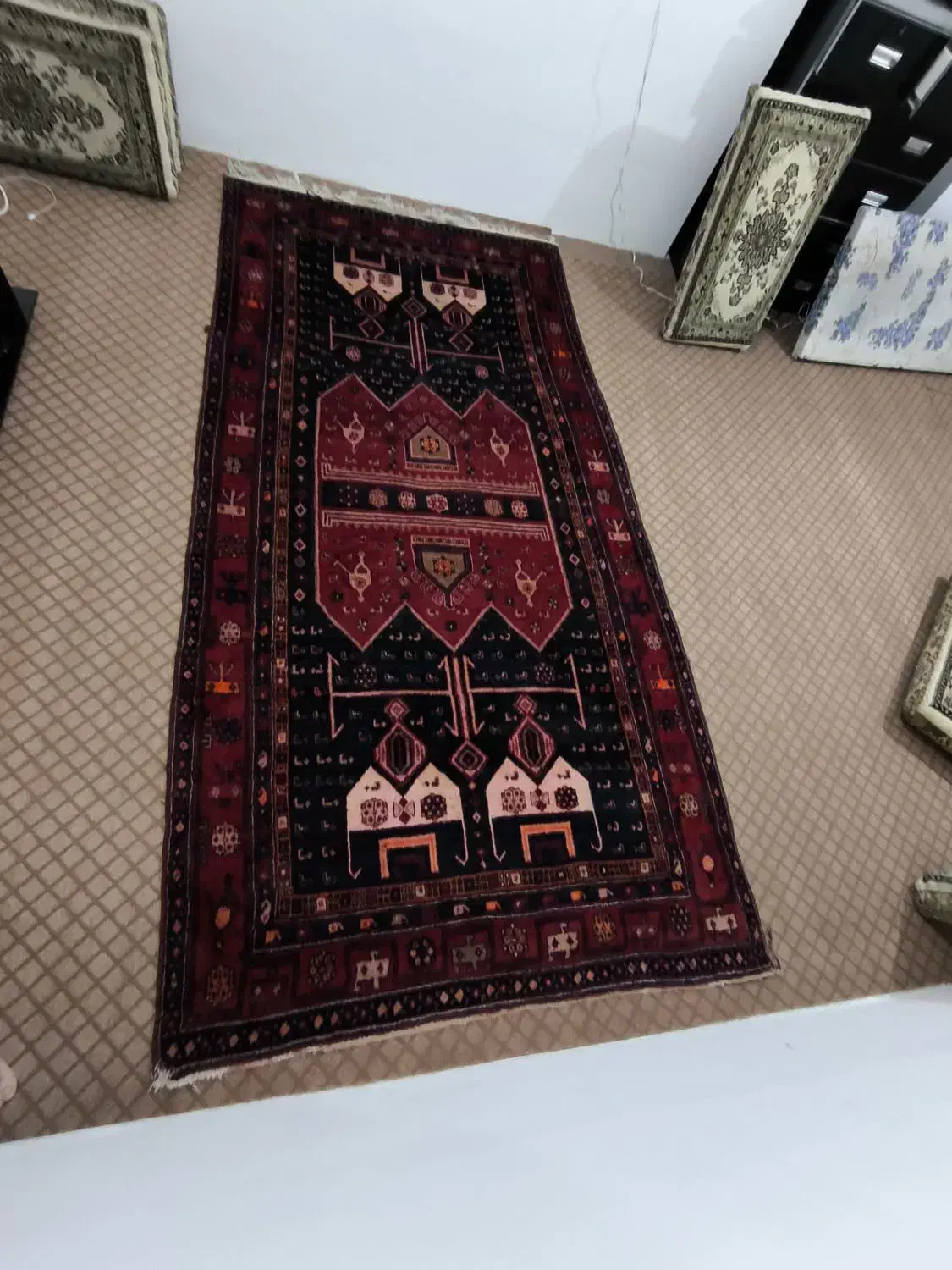 فرش آنتیک و کلکسیونی|فرش|سنندج, |دیوار