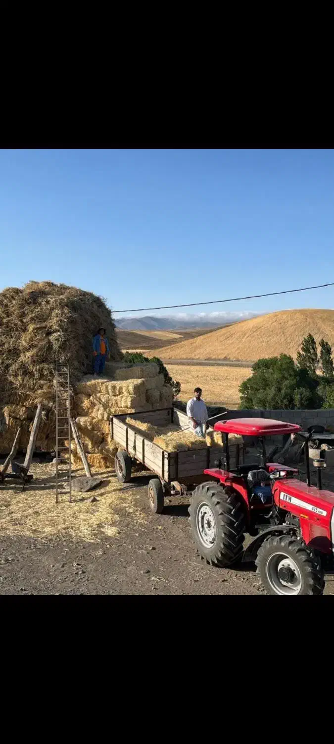 یونجه|لوازم جانبی حیوانات|هریس, |دیوار