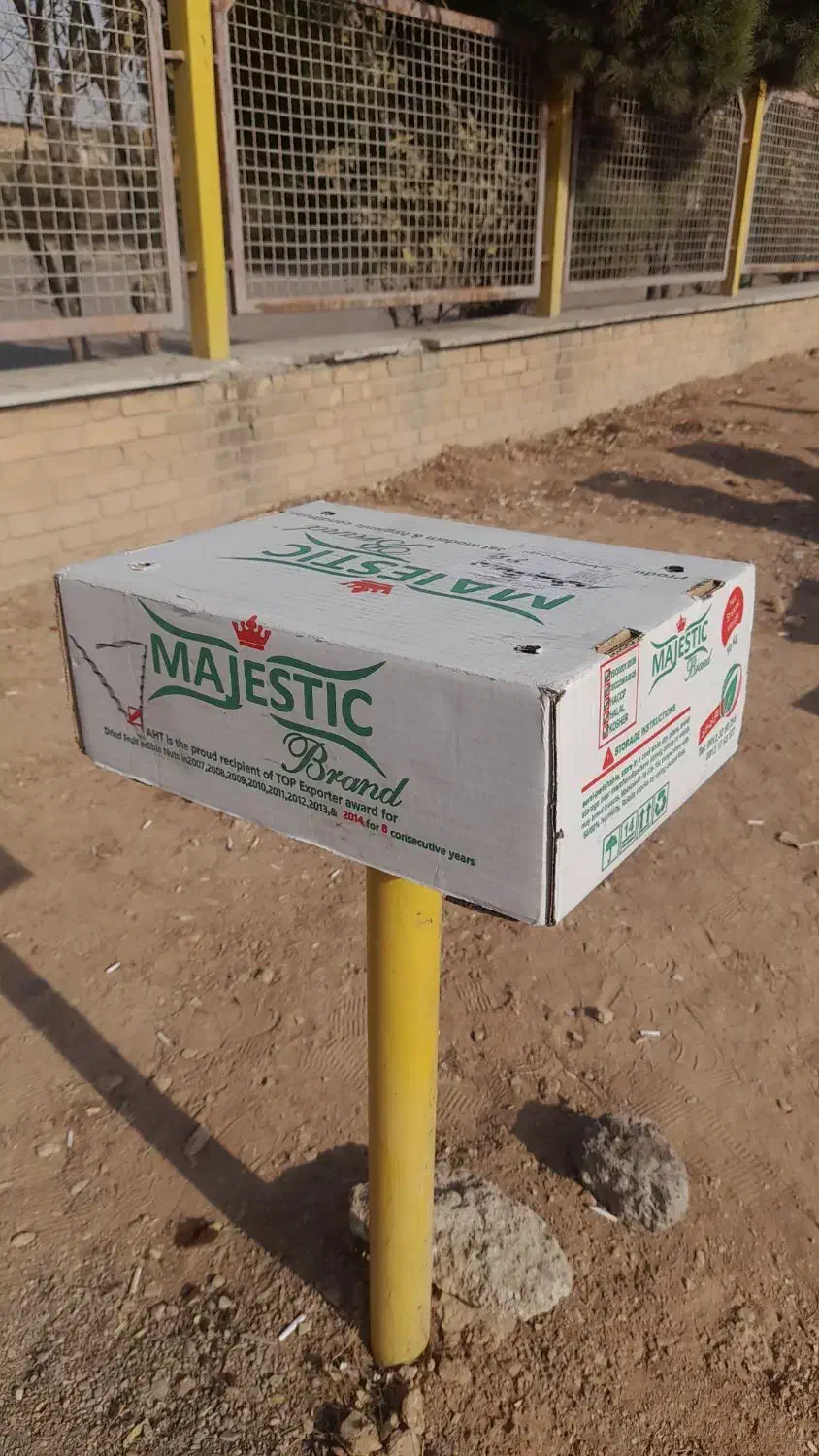 کارتن|عمدهفروشی|تاکستان, |دیوار