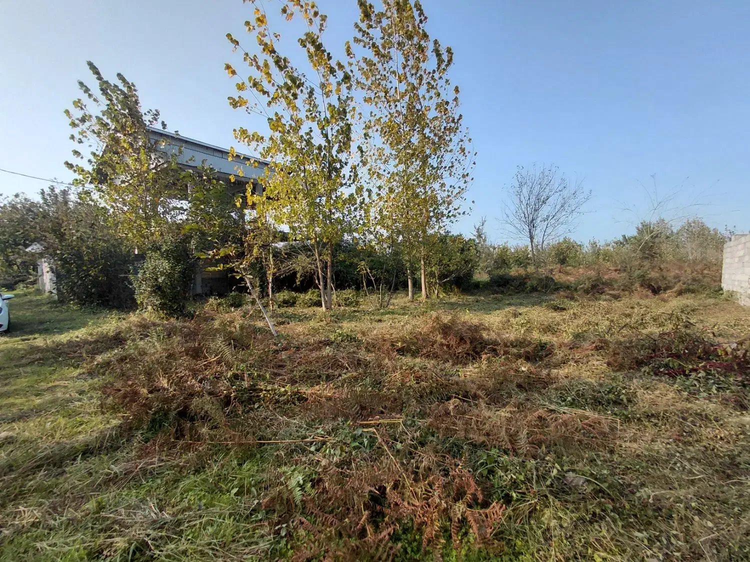 فروش یک قطعه زمین ۴۰۰ متری با کاربری مسکونی|فروش زمین و ملک کلنگی|لاهیجان, بازکیاگوراب|دیوار