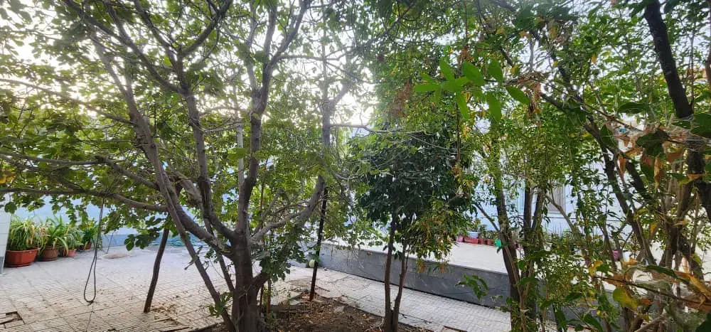 اجاره آپارتمان ۱۱۰متری دوخوابه بلوارازادگان|اجارهٔ آپارتمان|کرمان, |دیوار