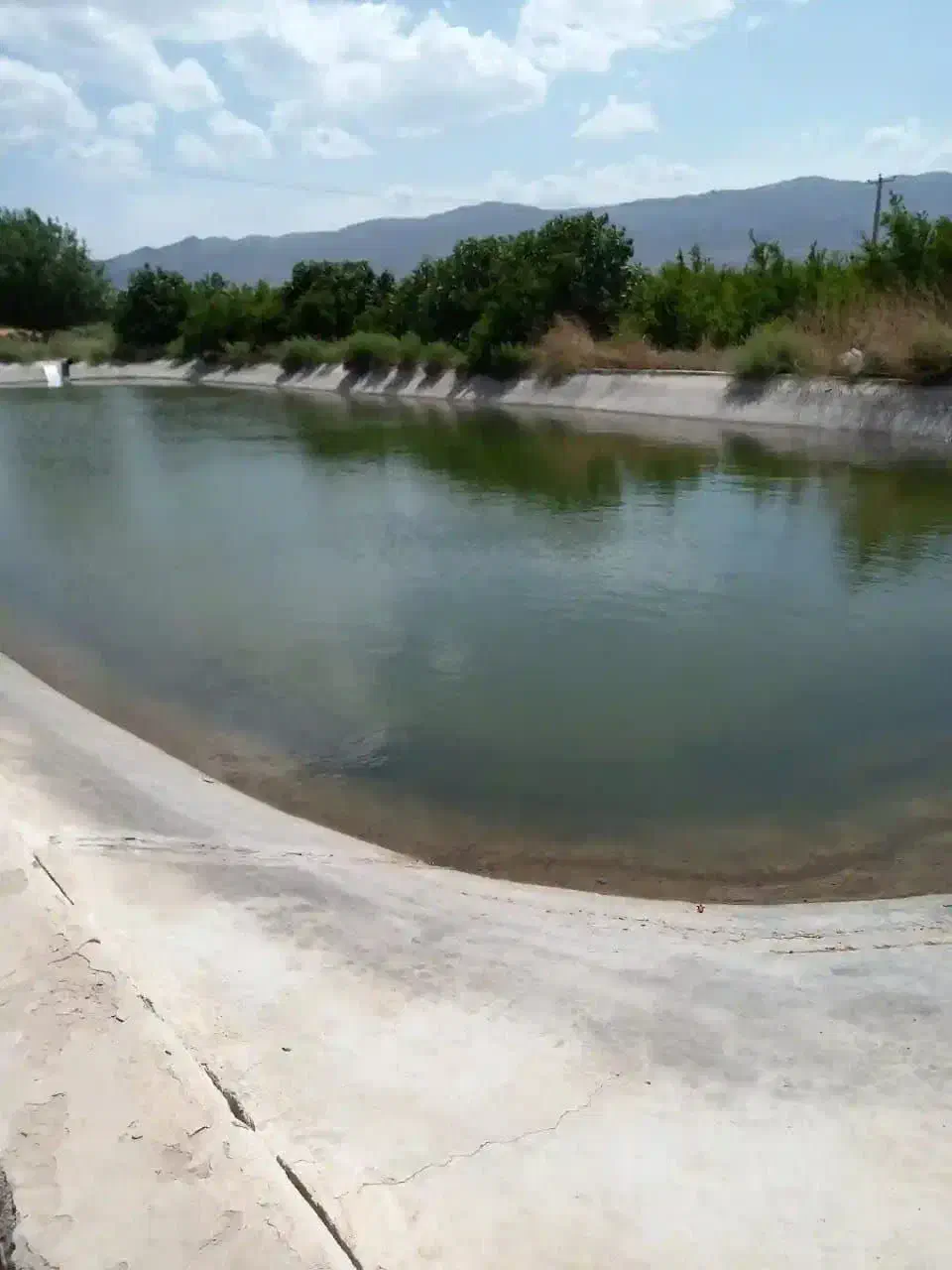 فروش گلخانه ۳ هکتار تهاتر با مغازه قم یا تهران|فروش دفتر صنعتی، کشاورزی، تجاری|ساوه, |دیوار