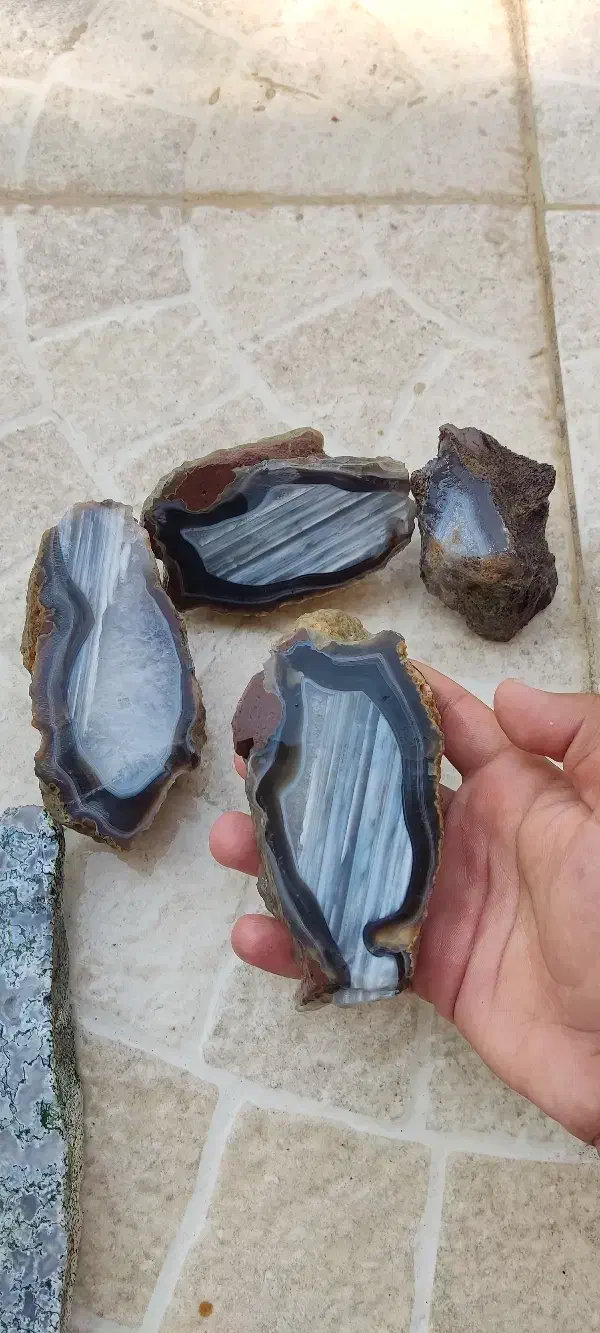 سنگ شجر کلکسیونی|جواهرات|برازجان, |دیوار