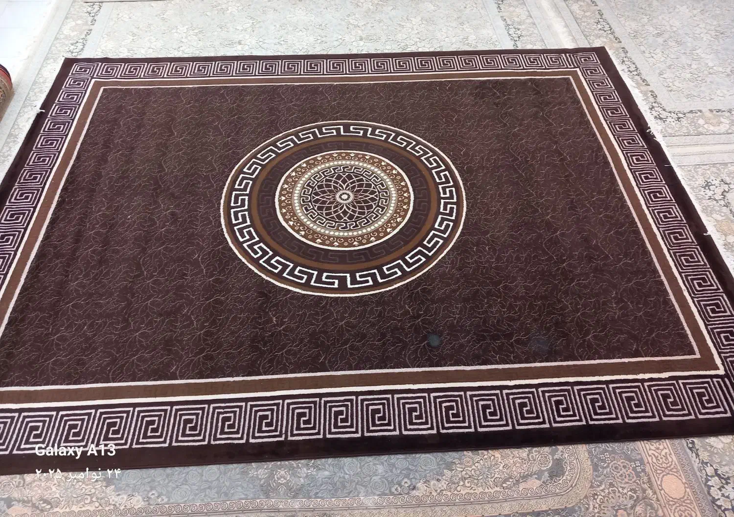 گلیم فرش پرز دار ۱۲ متری|فرش|الیگودرز, |دیوار