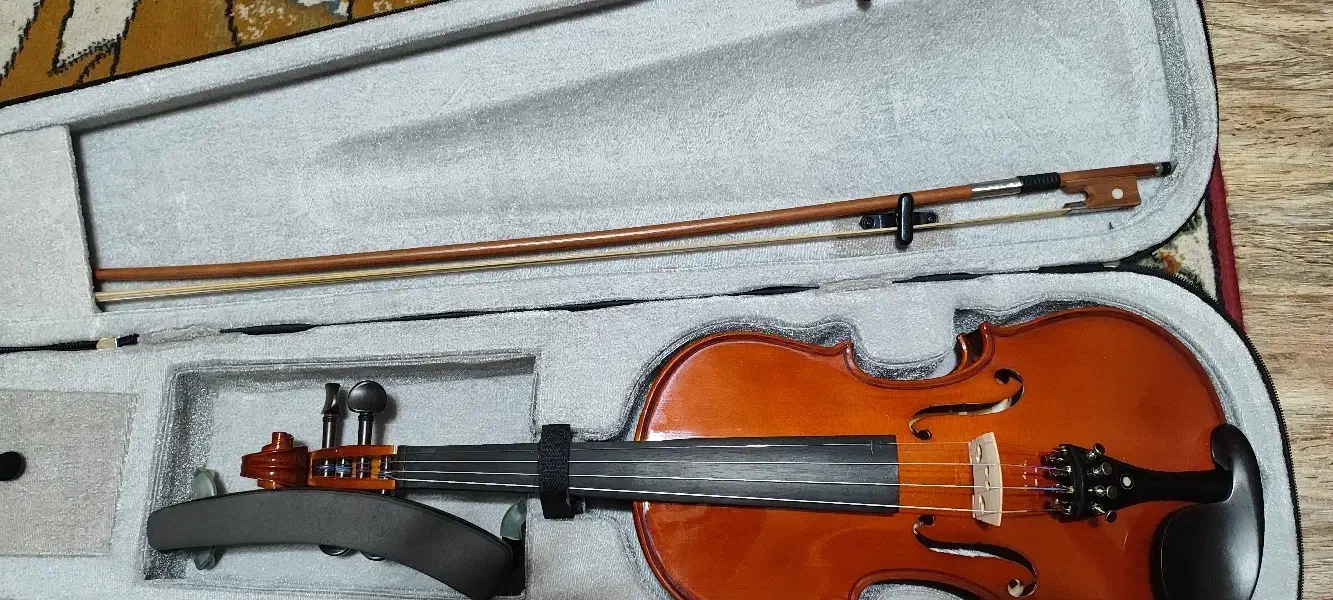 ویالون مدل TF student|ویولن|تهران, بنیهاشم|دیوار