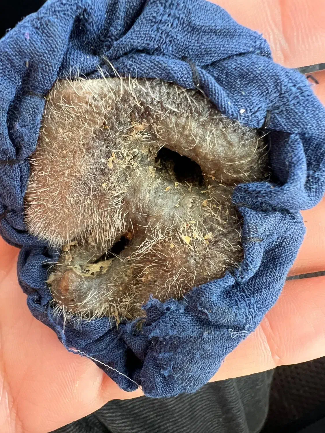 سنگ و مهره برای جذب و روزی|جواهرات|کرمانشاه, |دیوار