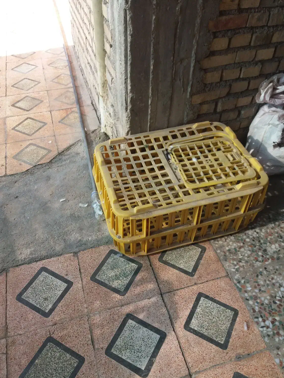 دوعدد قفسه مرغ یکیش نوهست ویکیش درحد نو دربراش|لوازم جانبی حیوانات|ایذه, |دیوار