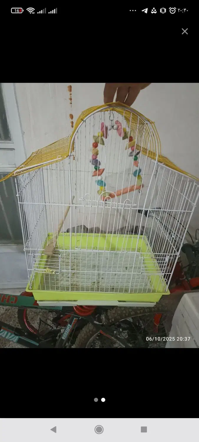 قفس پرنده|لوازم جانبی حیوانات|تربت‌حیدریه, کاشانی|دیوار