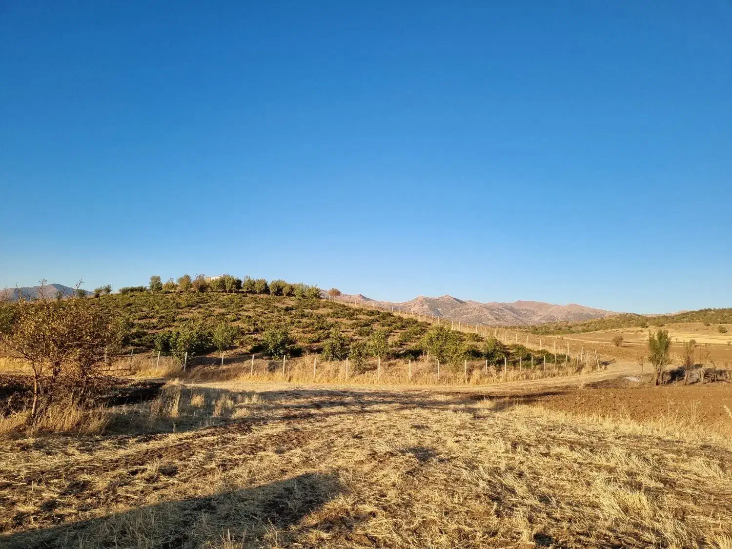 فروش|فروش خانه و ویلا|بانه, |دیوار