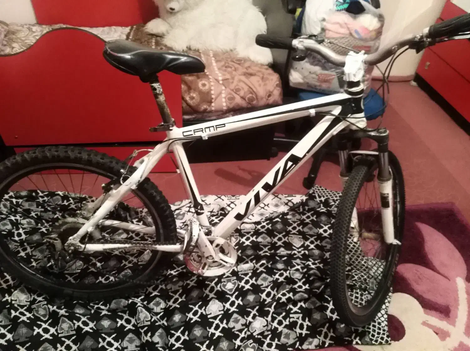 دوچرخه ویواسالم تنه آلمینیوم|دوچرخه، اسکیت، اسکوتر|رباط‌کریم, پرندک|دیوار