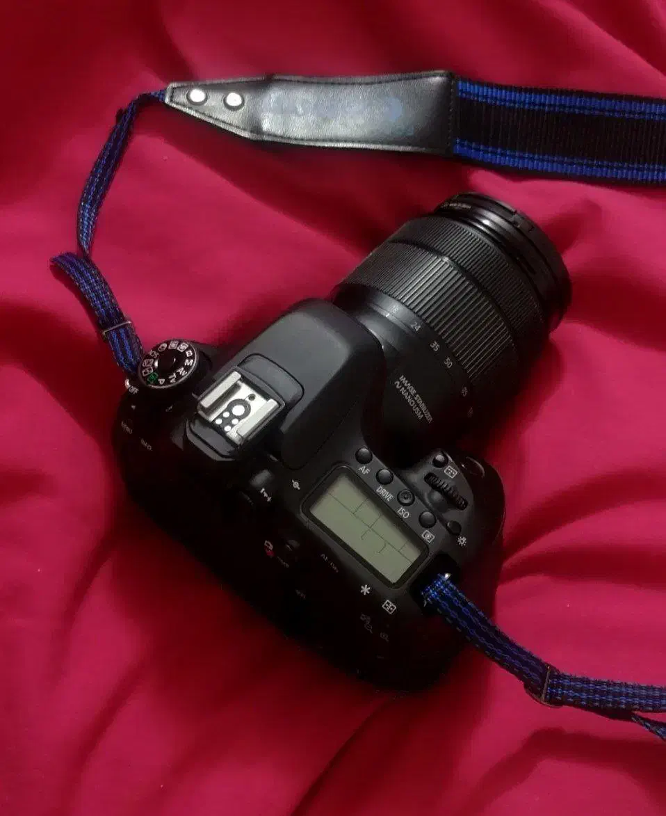 دوربین 80D canon|دوربین عکاسی و فیلم‌برداری|یزد, |دیوار