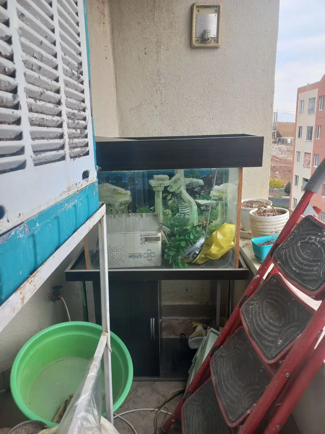 آکواریوم سالم وزیبا دلیل فروش نداشتن جا|ماهی|پردیس, فاز ۳|دیوار