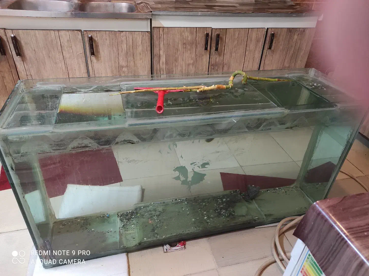 اکواریوم حرفه ای درجه یک بزرگ|ماهی|بروجرد, |دیوار