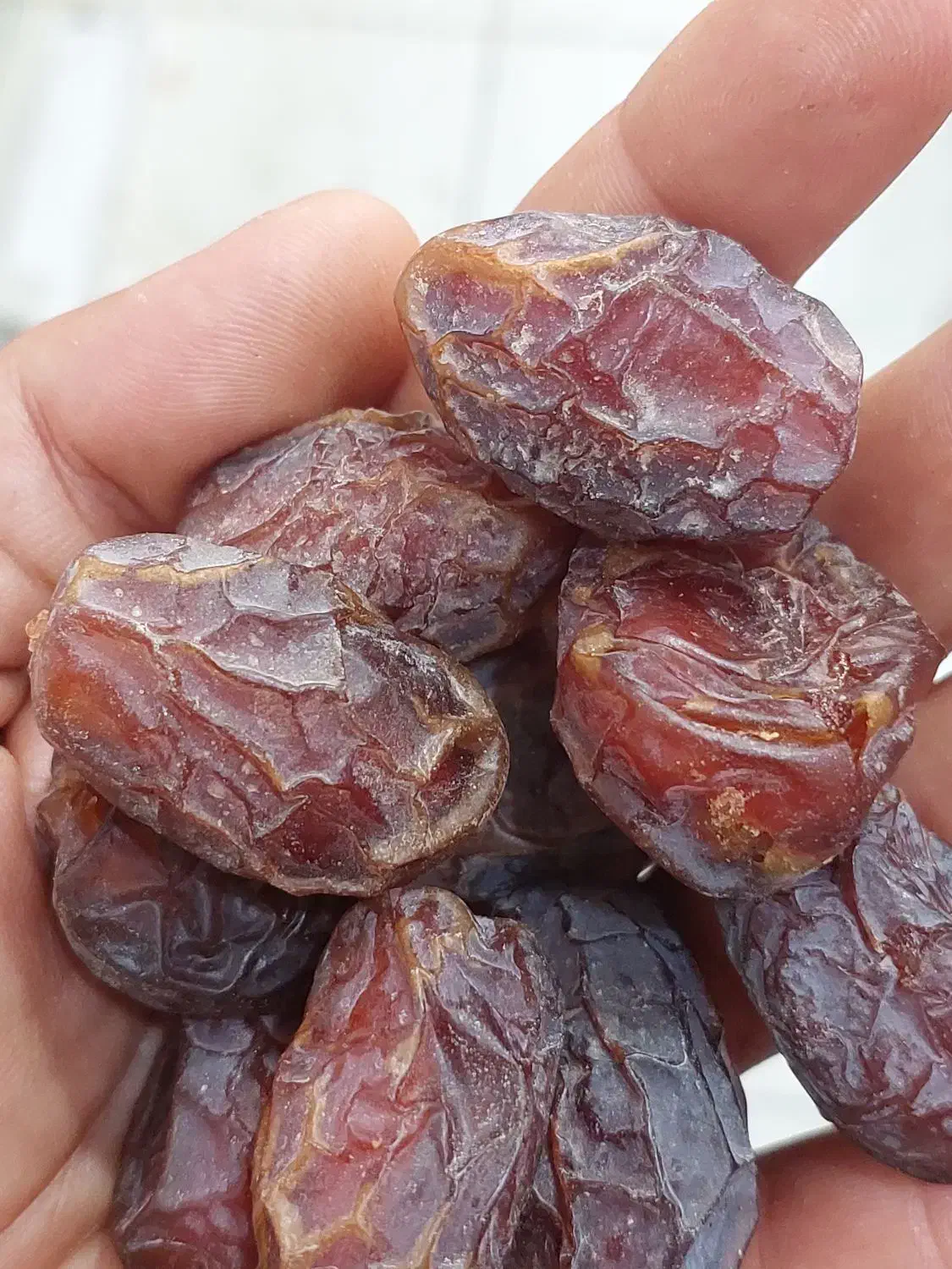 خرمای کشتی هلیله|خوردنی و آشامیدنی|خنج, |دیوار