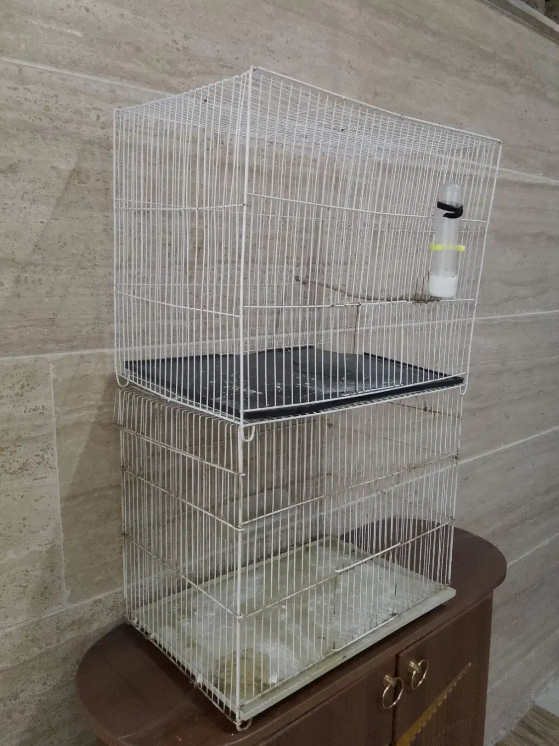 قفس پرنده معاوضه با جوجه عروس سرلاکی|لوازم جانبی حیوانات|مشهد, شهرک ابوذر|دیوار