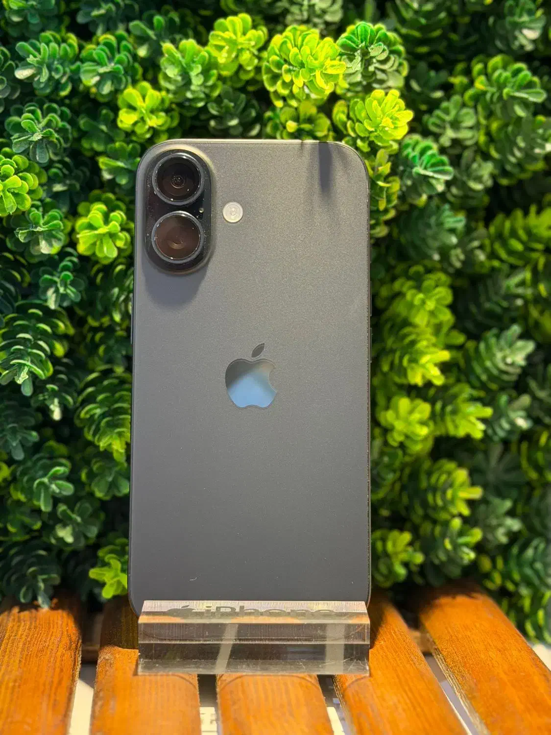 16Normal|موبایل|بوشهر, |دیوار