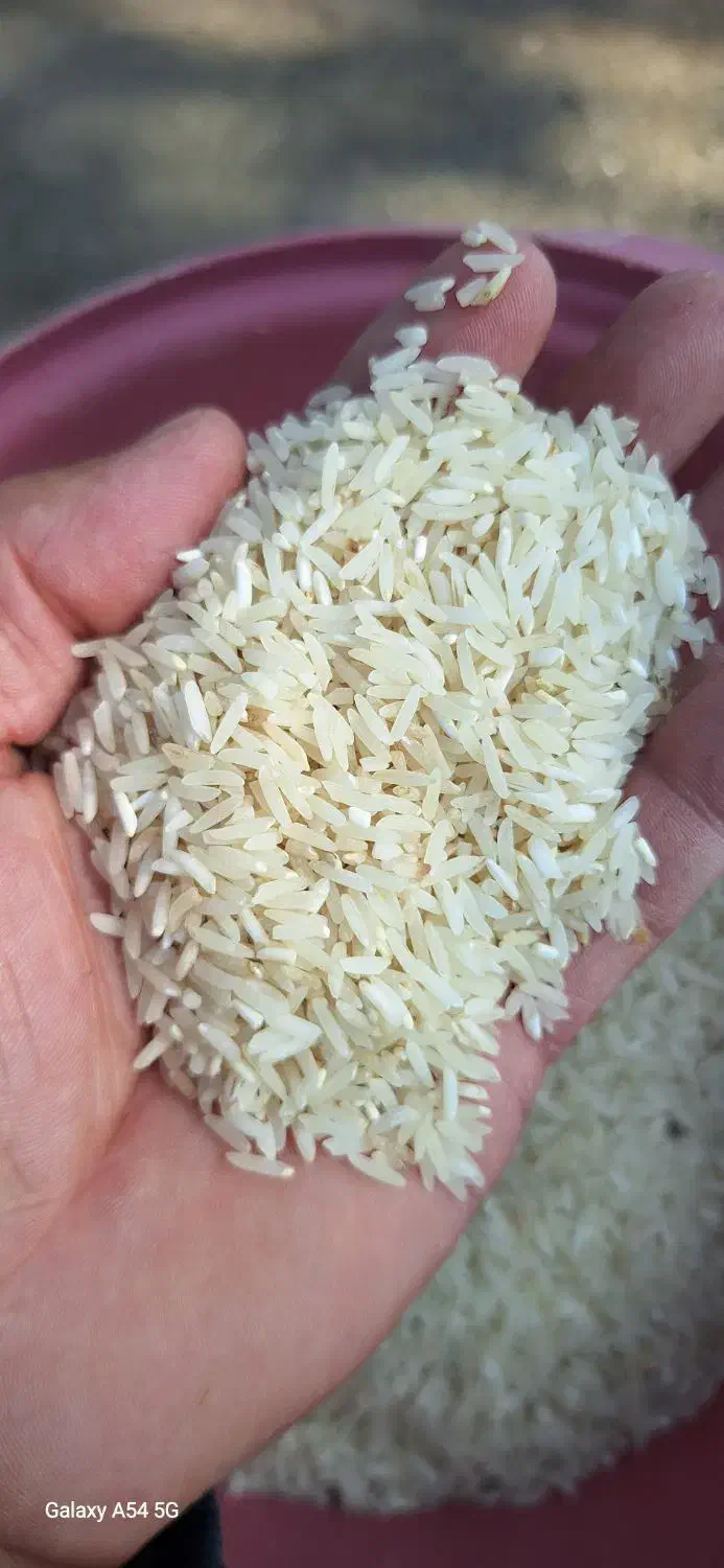 برنج طارم روشن الک کارخونه|خوردنی و آشامیدنی|چوبر, |دیوار