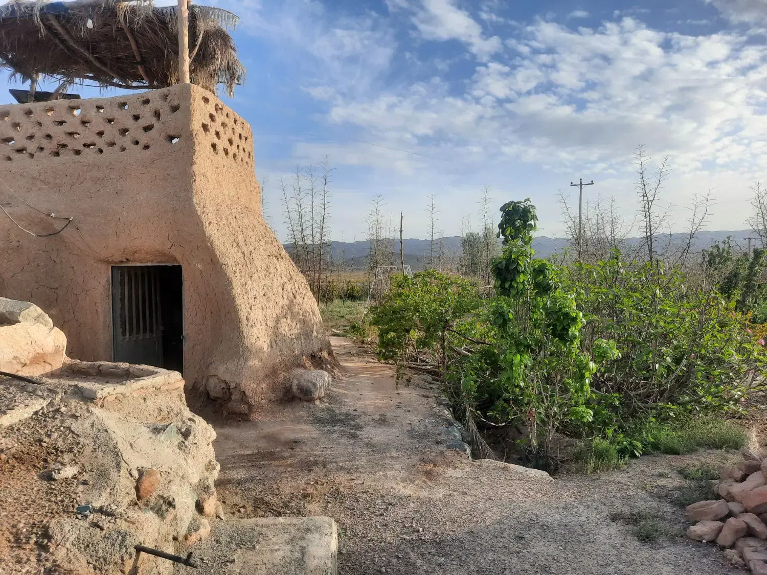 تصویر 16