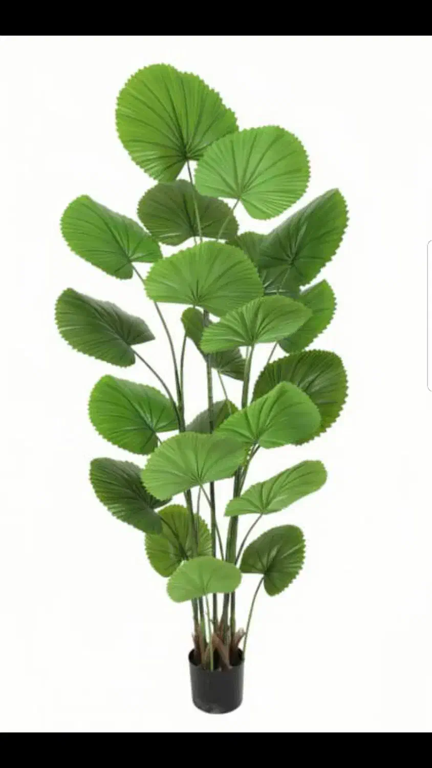 درخت مصنوعی|گل مصنوعی|بندر کنگان, |دیوار