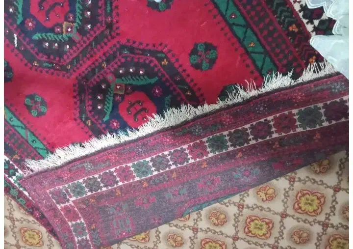 قالی دستبافت ۶متری|فرش|شیروان (خراسان), |دیوار