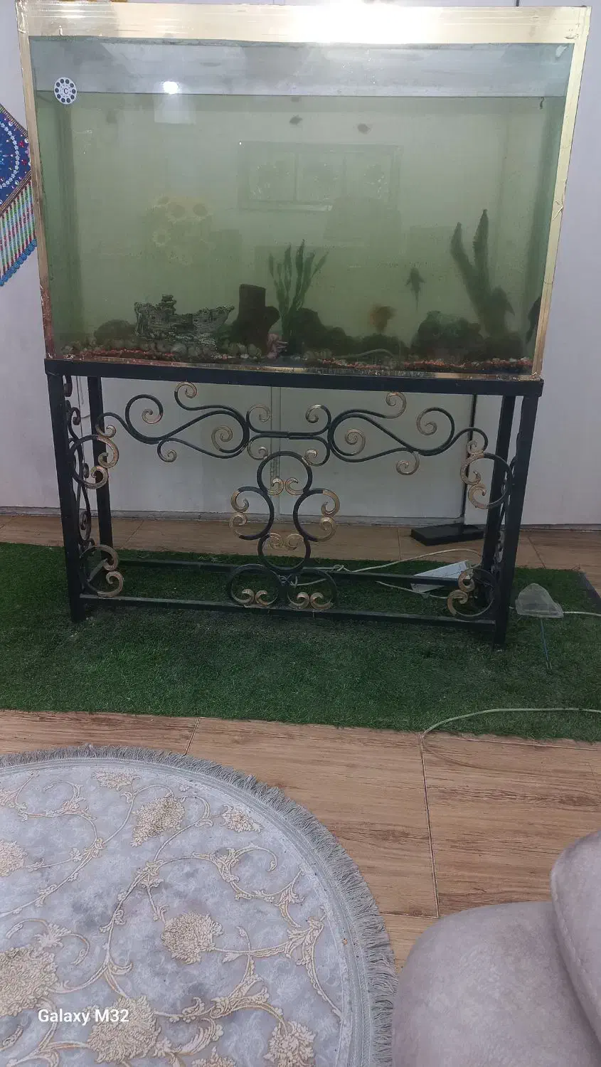 آکواریوم ۱متر در ۱،۳۰|ماهی|محمدشهر, همایون ویلا|دیوار