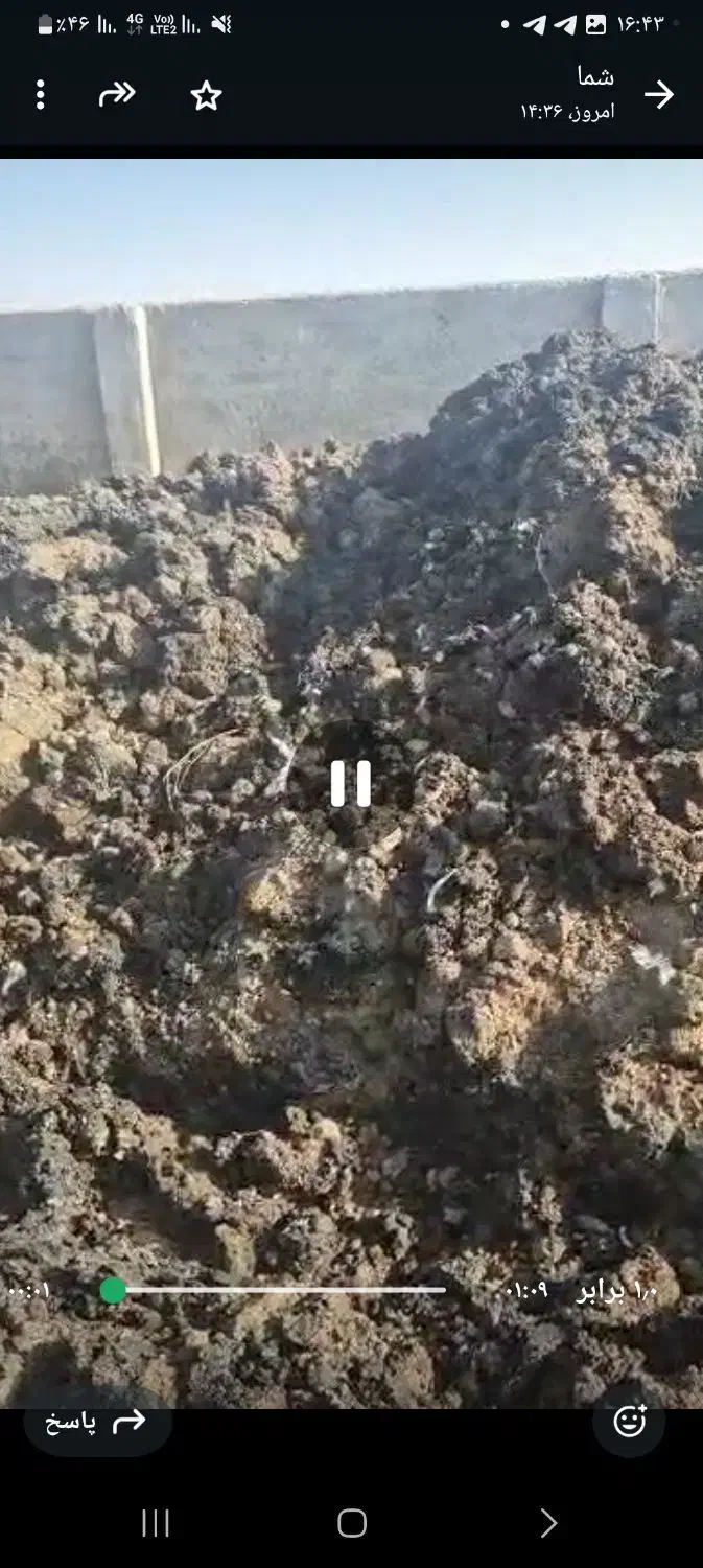 کودمرغی|خدمات باغبانی و درختکاری|نسیمشهر, |دیوار