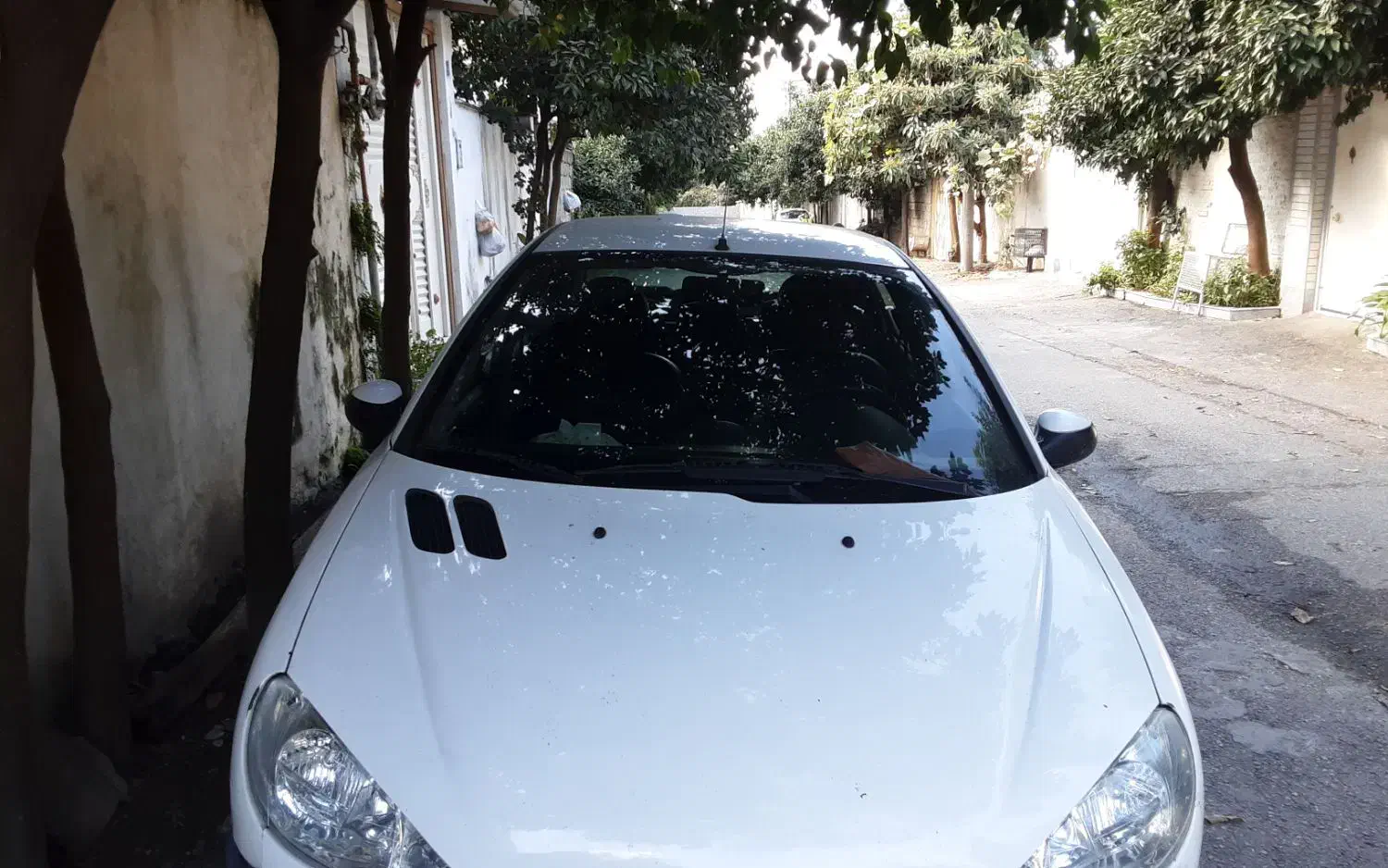 ۲۰۶ SD v8 مدل ۹۷|خودرو سواری و وانت|آمل, |دیوار